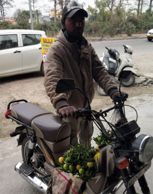 Nazar Battoo in Haridwar Road, Rishikesh, Dehradun, Uttarakhand, India