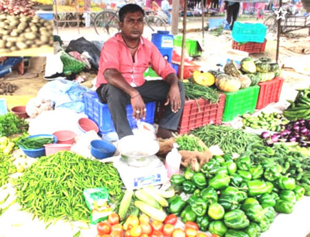 Vegetables in IDPL Colony, Rishikesh, Dehradun, Uttarakhand, India